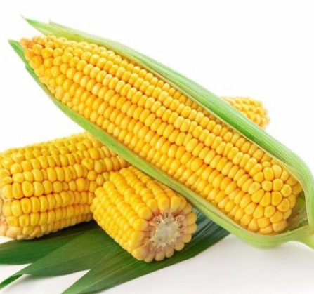 玉米振動(dòng)篩如何選擇？